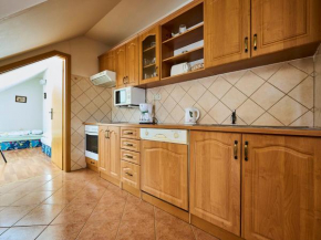 Apartment Harrachov 497-2 by Interhome Harrachov